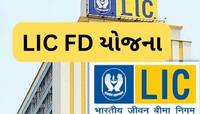 1 લાખ રૂપિયા જમા કરો અને દર મહિને મેળવો 6500, LIC એ શરૂ કરી નવી FD સ્કીમ