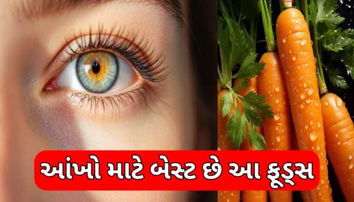 આંખોની રોશની માટે સૌથી બેસ્ટ છે આ ફૂડ્સ, ડાયટમાં જરૂર કરો સામેલ