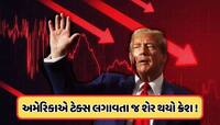 અમેરિકાએ લગાવ્યો 340% ટેક્સ, આ ભારતીય શેર વેચવા માટે લાગી લાઈન, ક્રેશ થયો ભાવ
