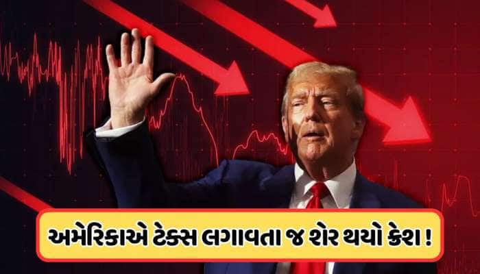 અમેરિકાએ લગાવ્યો 340% ટેક્સ, આ ભારતીય શેર વેચવા માટે લાગી લાઈન, ક્રેશ થયો ભાવ