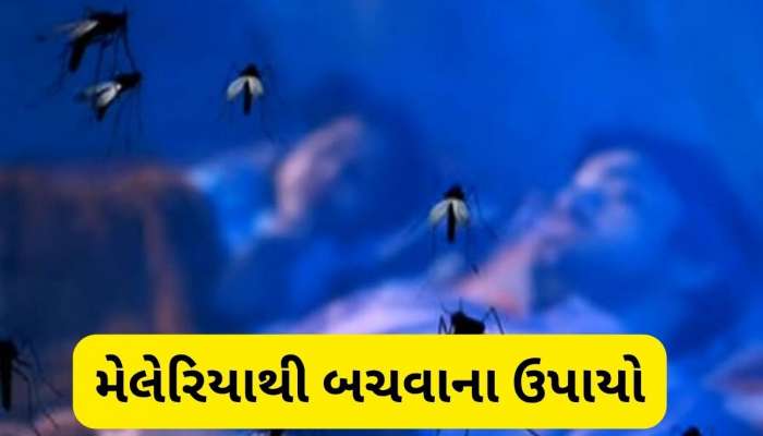   વરસાદમાં વધી જશે મચ્છરોનો આતંક, આ રીતે મેલેરિયાથી બચીને રહેજો, રાજ્ય સરકારે જાહેર કરી માર્ગદર્શિકા