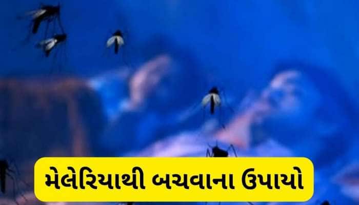 વરસાદમાં વધી જશે મચ્છરોનો આતંક, આ રીતે મેલેરિયાથી બચીને રહેજો, સરકારે જણાવ્યા ઉપાય