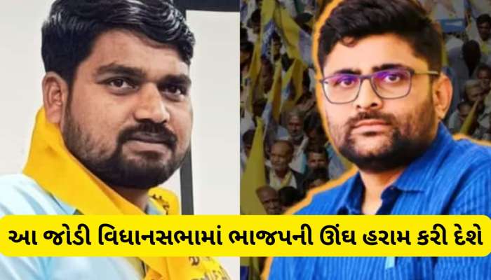 ઈટાલિયાને મળશે મોટી જવાબદારી, આપના ફાયર બ્રાન્ડ ધારાસભ્ય વિધાનસભામાં પહોંચશે તો શું 