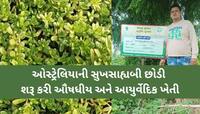 ગુજરાતના ખેડૂતે ઓસ્ટ્રેલિયાની સુખસાહ્યબી છોડી શરૂ કરી બ્રાહ્મીની પ્રાકૃતિક ખેતી
