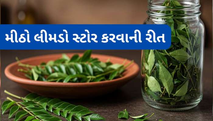 Storage Hacks: આ રીતે રાખશો તો ફ્રીજમાં મહિના સુધી ફ્રેશ રહેશે મીઠા લીમડાના પાન