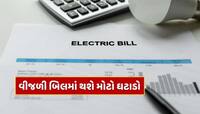 ગૂડ ન્યુઝ! વીજળી બિલમાં થશે 25 ટકા સુધીનો ઘટાડો, આ રાજ્યના CMએ કરી મોટી જાહેરાત