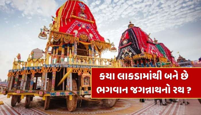 Rath Yatra 2025 : ભગવાન જગન્નાથનો રથ કયા લાકડામાંથી બને છે, રથયાત્રા બાદ તેનું શું થાય છે ? જાણો