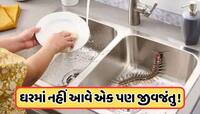 વરસાદમાં નીકળતા જીવજંતુઓએ મુશ્કેલ બનાવી દીધું છે જીવન, જરૂર અજમાવો આ ઘરેલું ઉપાય! 