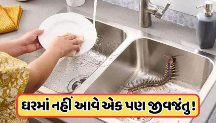 વરસાદમાં નીકળતા જીવજંતુઓએ મુશ્કેલ બનાવી દીધું છે જીવન, જરૂર અજમાવો આ ઘરેલું ઉપાય! 