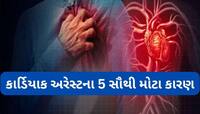 Cardiac Arrest: કાર્ડિયાક અરેસ્ટના 5 સૌથી મોટા રિસ્ક ફેક્ટર્સ વિશે જાણો