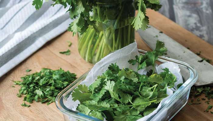 આ રીતે રાખશો તો દિવસો સુધી તાજો રહેશે ફુદીનો અને ધાણા, ખૂબ જ કામની છે આ કિચન ટીપ્સ