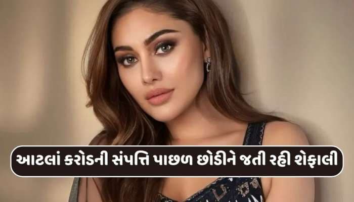 શેફાલીએ કેવી રીતે ઊભી કરી હતી આટલાં કરોડોની સંપત્તિ...