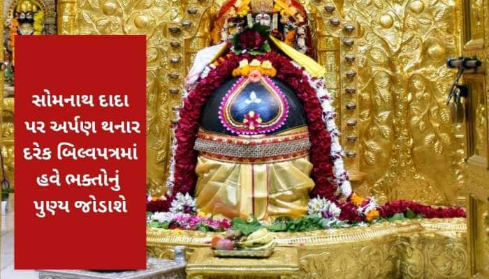 શ્રાવણમાં સોમનાથ મંદિરની મોટી સેવા, ભક્તોને ઘર બેઠા કરાવશે બિલ્વ પૂજા