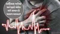 કાર્ડિયાક અરેસ્ટ અને હાર્ટ એટેક વચ્ચે શું છે તફાવત, કેવા હોય છે તેના લક્ષણો?