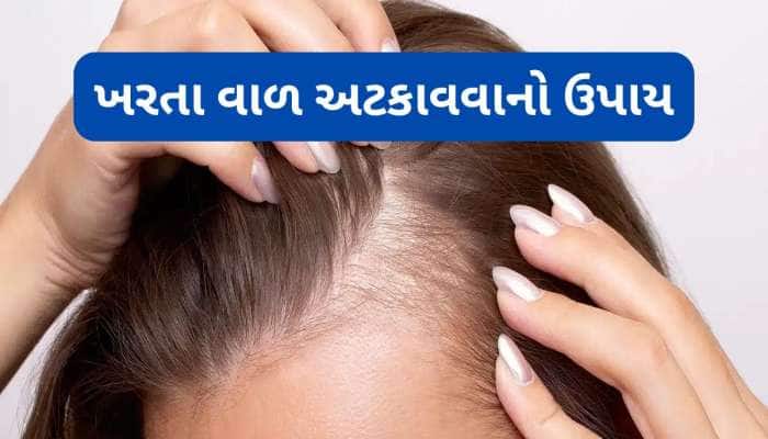 પોષકતત્વોનો પાવરહાઉસ છે આ દાણા, દહીંમાં મિક્સ કરીને ખાવાથી ખરતા વાળની સમસ્યા થશે દુર