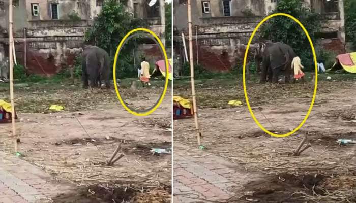રુંવાડા ઉભા કરી દેતા દ્રશ્યો, જગન્નાથ મંદિરમાં સાંકળથી બાંધેલા હાથીને મહાવતે લાકડીથી