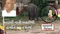 હાથીને માર મારતો વીડિયો અમદાવાદ જગન્નાથ મંદિરનો નીકળ્યો, ટ્રસ્ટીએ કહ્યું-લાકડી નાનકડ