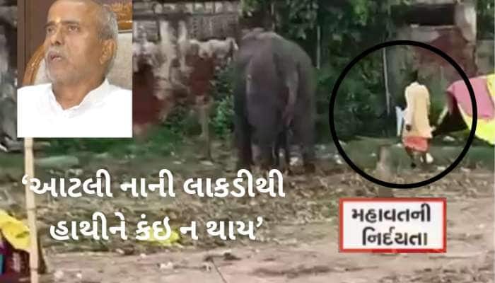 હાથીને માર મારતો વીડિયો અમદાવાદ જગન્નાથ મંદિરનો નીકળ્યો, ટ્રસ્ટીએ કહ્યું-લાકડી નાનકડ