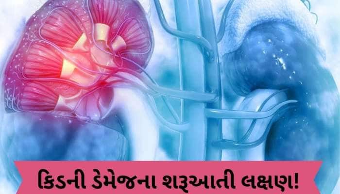 આ લક્ષણોને નજરઅંદાજ ન કરો, કિડની ડેમેજની હોઈ શકે છે શરૂઆત