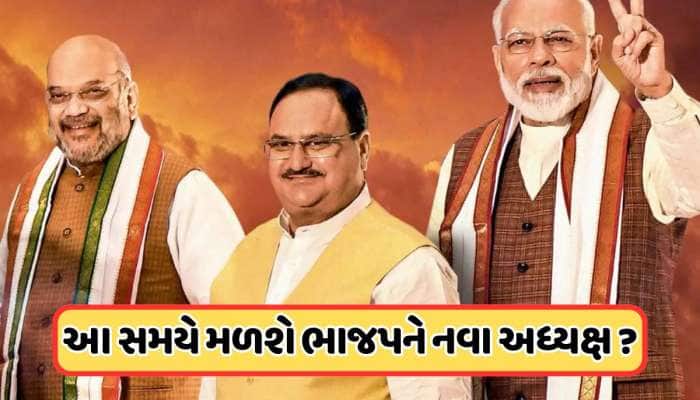 BJP President: ક્યારે થશે ભાજપના રાષ્ટ્રીય અધ્યક્ષની જાહેરાત? અહીં ફસાયો છે મામલો