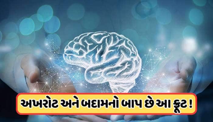 અખરોટ કે બદામ નહીં, આ ફળ મગજને બનાવે છે તેજ, ઘટાડે છે કેન્સરનું જોખમ !