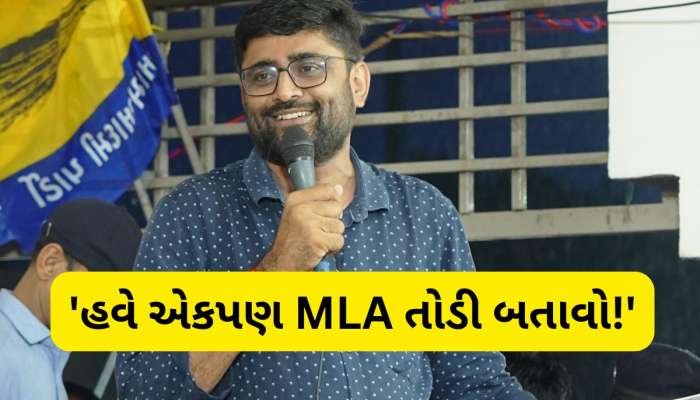 ઈટાલિયાનો પાટીલને ખુલ્લો પડકાર, અમારા એકપણ ધારાસભ્ય તોડીને બતાવો!
