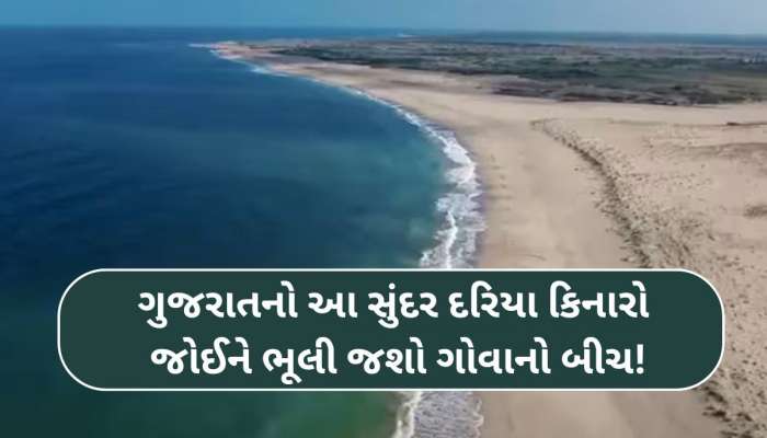 શિવરાજપુર બાદ ગુજરાતના આ દરિયા કિનારાને મળશે 'બ્લુ ફ્લેગ' દરજ્જો! સુંદરતા જોઈને ભૂલી જશો ગોવાનો બીચ!