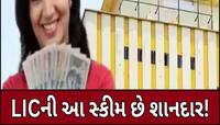 FD-RD છોડો! આ છે LICનો 'અમૃત' પ્લાન, જિંદગી ભર થશે રૂપિયાનો વરસાદ;ટેન્શનનું થશે દૂર!