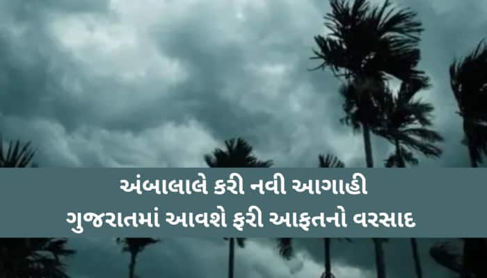 ડંકાની ચોટ પર લખી રાખજો આ તારીખ! ભારે આગાહીના પગલે આ જિલ્લાઓને કરાયા એલર્ટ, નવી આગાહ