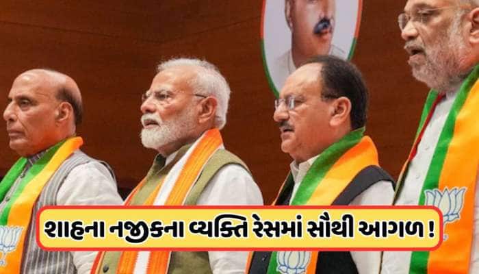 ભાજપના અધ્યક્ષની થઈ શકે છે જાહેરાત, આ ત્રણ નેતાઓ રેસમાં સૌથી આગળ !