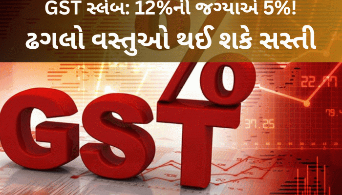 મધ્યમવર્ગ માટે ખુશખબર, તમારા રોજબરોજના વપરાશની આ વસ્તુઓ થશે સસ્તી! સરકાર કરે છે તૈયારી