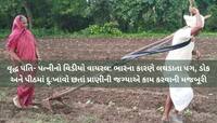 હાય રે ગરીબી! બળદ ન પોસાતો હોવાથી વૃદ્ધ ખેડૂત જાતે હળ સાથે જોતરાયો, રોવડાવી દેશે આ..