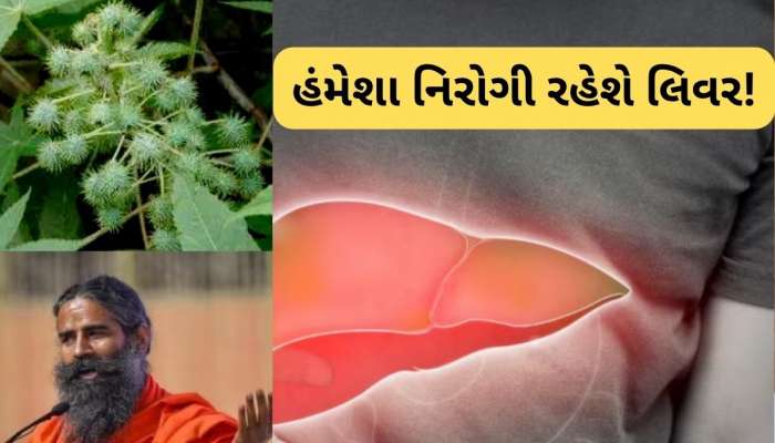  100 વર્ષ સુધી ખરાબ નહીં થાય લિવર, બાબા રામદેવની આ દેશી ફોર્મ્યુલા થઈ વાયરલ