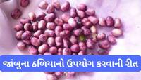Jamun Seeds: જાંબુ કરતાં વધારે ફાયદો કરે તેના ઠળિયા, શુગર-પથરીમાં આ રીતે કરો ઉપયોગ