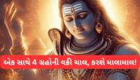 72 વર્ષ બાદ દુર્લભ સંયોગ, એક સાથે 4 શક્તિશાળી ગ્રહો થશે વક્રી, 3 રાશિને ધનલાભ થશે