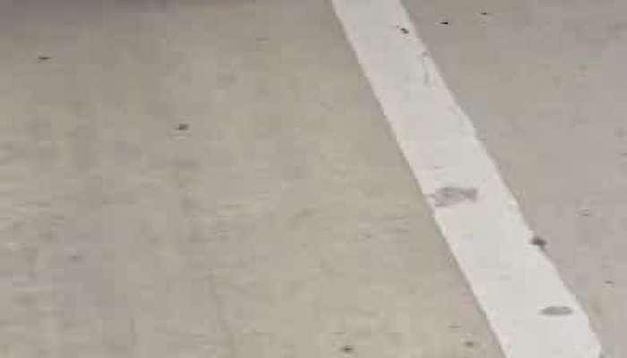 Dahod rto inspector brutally beats truck driver video goes viral