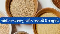Iron Rich Food: આયરનની ખામી દુર કરવા ખાવી આ 3 વસ્તુઓ, શરીરમાં ડબલ સ્પીડમાં વધશે લોહી