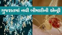 ગુજરાતમાં ફેલાયો મોતનો વાયરસ! 8 બાળકોના મોત, 15 દાખલ, જાણો શું છે લક્ષણ અને બચવાના 