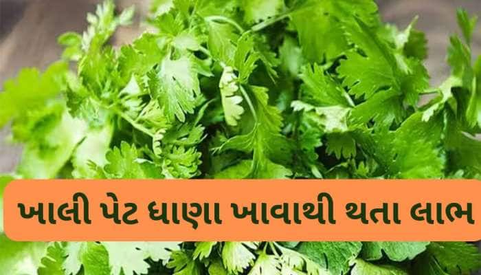 સવારે ખાલી પેટ લીલા ધાણાના પાન ચાવી લો, પાચન સુધરશે અને કંટ્રોલમાં રહેશે બ્લડ શુગર