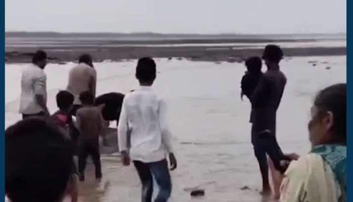 ભાવનગરના દરિયા કિનારે છીછરા પાણીમાં તરફડિયા મારતી ડોલ્ફીનનું રેસ્ક્યૂ, આ રીતે લોકોએ ભેગા મળી બચાવ્યો જીવ.... 