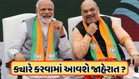 ભાજપના અધ્યક્ષ પદની રેસમાં 5 કેન્દ્રીય મંત્રીઓ,  PM મોદીના ખૂબ નજીકનાનું પણ છે નામ !