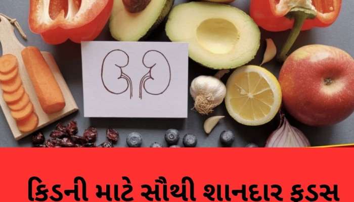 કિડનીના 'બેસ્ટ ફ્રેન્ડ' કહેવાય છે આ 5 ફૂડ્સ, તમે પણ તમારા ડાયટમાં કરો સામેલ, મળશે જોરદાર ફાયદા