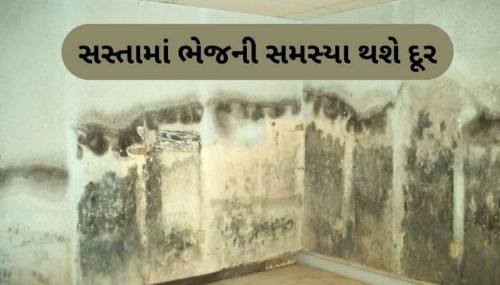  શું તમારા ઘરમાં પણ છે ભેજની સમસ્યા? માત્ર 10 રૂપિયામાં ખરીદી લો આ સફેદ પાઉડર, સસ્તી અને સરળ ટિપ્સ આવશે કામ