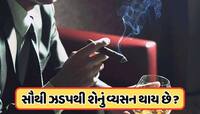 સિગારેટ, દારૂ કે બીજું કંઈ... જાણો વ્યક્તિ સૌથી ઝડપથી શેના વ્યસની થઈ જાય છે?