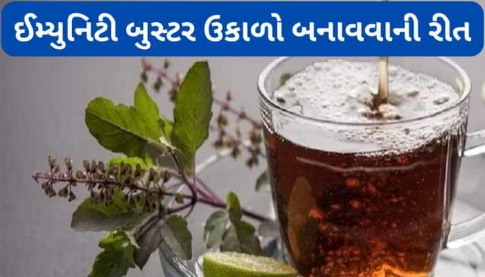 ચોમાસામાં તુલસી-મરીનો ઉકાળો પીવાથી થશે લાભ, શરીરની આસપાસ પણ નહીં ફરકે બીમારીઓ