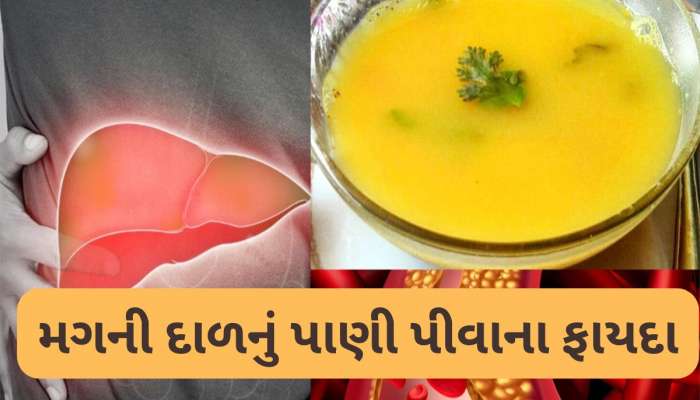 Moong Dal: ફેટી લિવર અને બેડ કોલેસ્ટ્રોલ માટે વરદાન છે આ દાળનું પાણી, પીવાથી શરીર થશે ડિટોક્સ