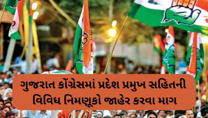 સામી ચૂંટણીએ લંગડા ઘોડાઓને કોરાણે મૂકો! ફૂટેલી કારતૂસોની બોલબાલાને કારણે કોંગ્રેસમાં ખેંચતાણ જામી! 