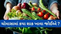 Monsoon: ચોમાસામાં ખાવા આ શાકભાજી, ખાધા પછી પેટ ભારે નહીં લાગે, શરીર સ્વસ્થ રહેશે