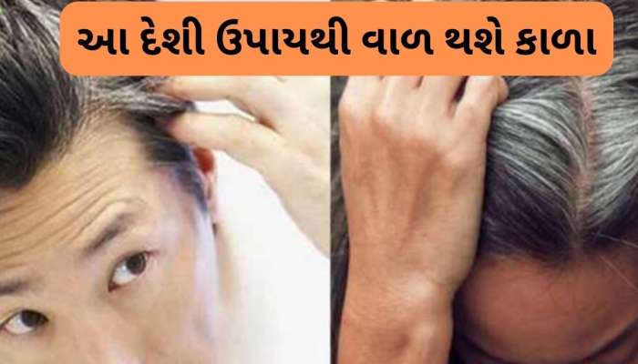 મહેંદી અને હેર ડાઈ છોડો, આ છે સફેદ વાળ કાળા કરવાનો રામબાણ દેશી નુસ્ખો, તમે પણ અપનાવો