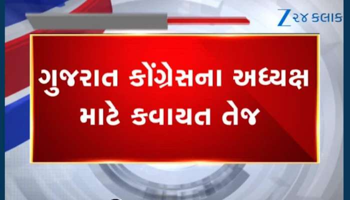 ગુજરાત કોંગ્રેસને મળશે મહિલા પ્રદેશ અધ્યક્ષ? 3 દિગ્ગજ નેતાના નામની પેનલ તૈયાર